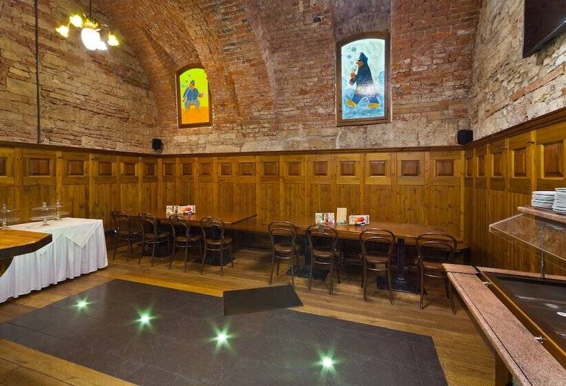 Fotos del hotel Prague Inn:  24