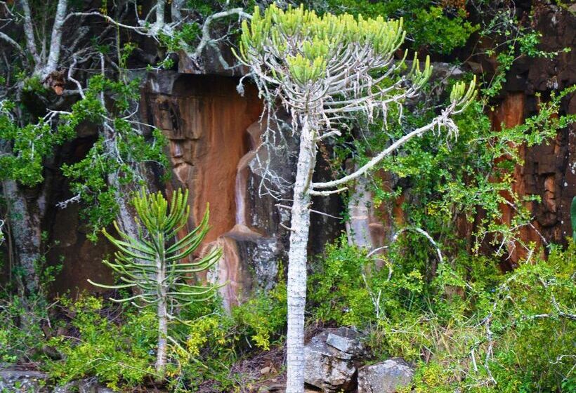 בית מלון כפרי Premier Resort Mpongo Private Game Reserve