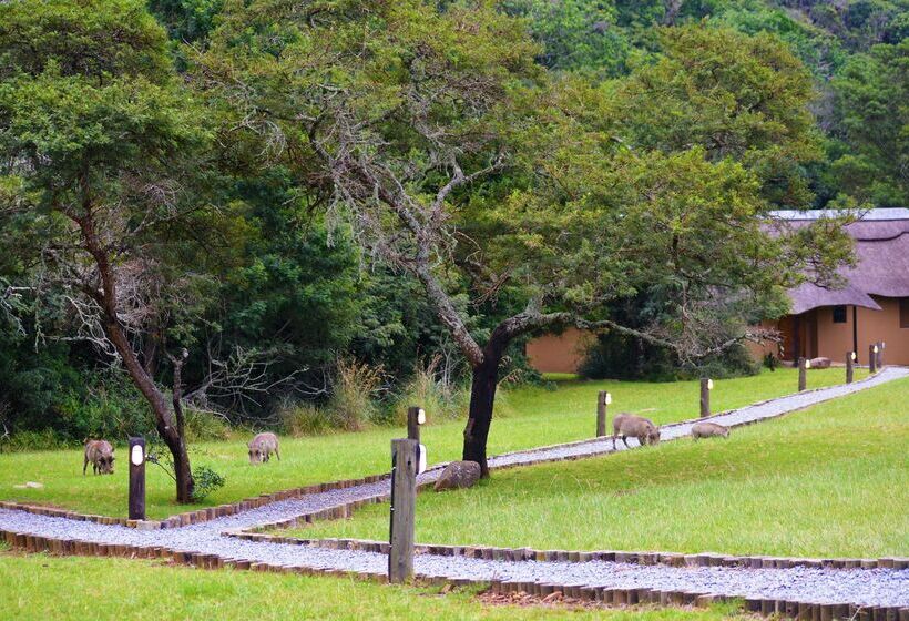 בית מלון כפרי Premier Resort Mpongo Private Game Reserve
