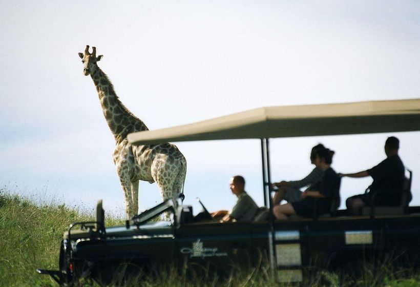 בית מלון כפרי Premier Resort Mpongo Private Game Reserve