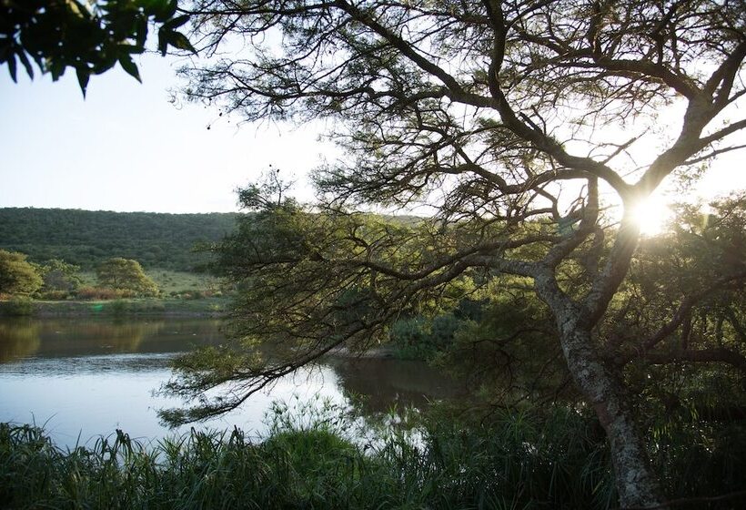 בית מלון כפרי Premier Resort Mpongo Private Game Reserve