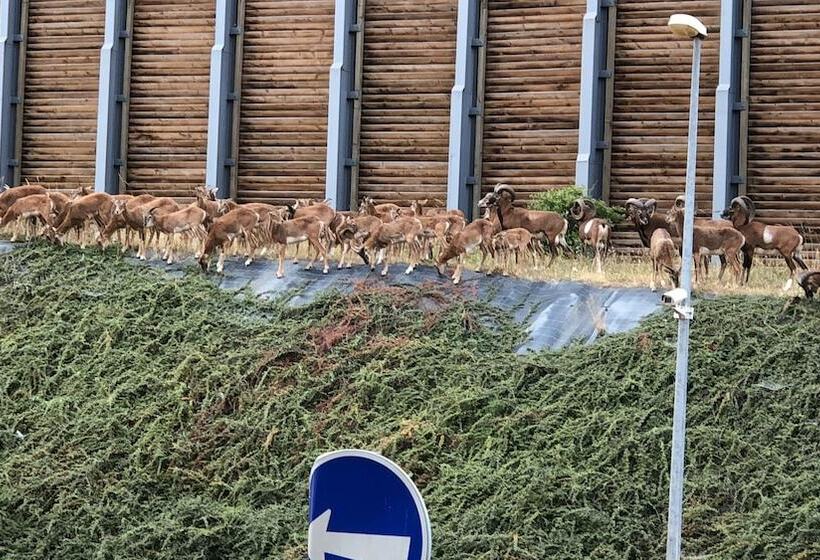 Fotos del hotel Rezidence Emmy:  5