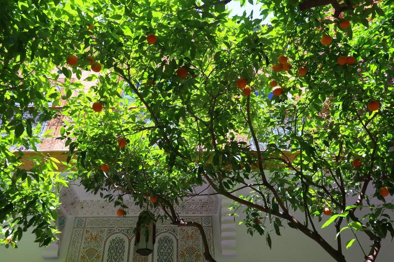 Fotos del hotel Ryad El Borj:  11