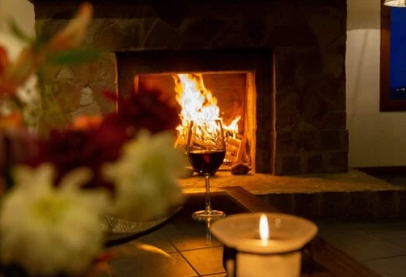 Fotos del hotel Terraza Coirones:  43