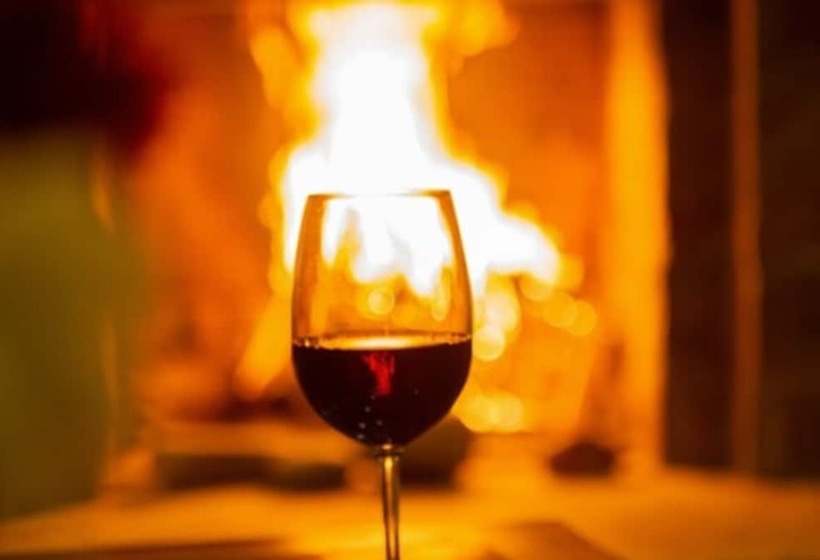 Fotos del hotel Terraza Coirones:  38