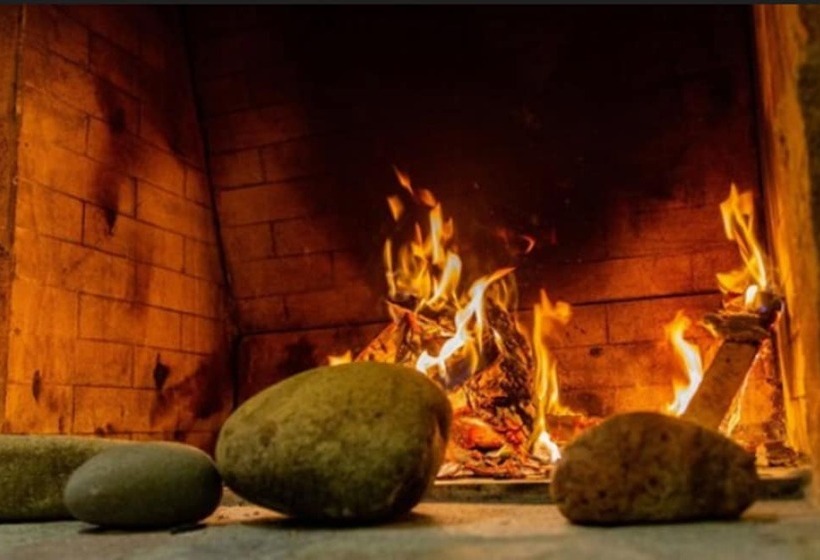 Fotos del hotel Terraza Coirones:  28