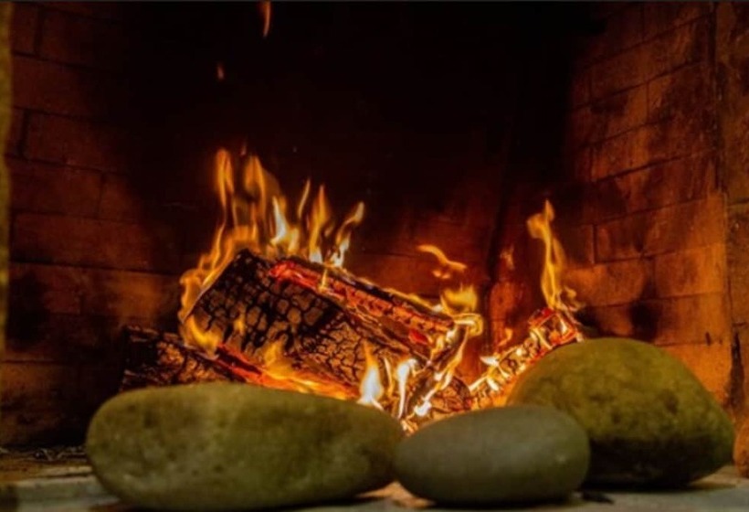 Fotos del hotel Terraza Coirones:  29