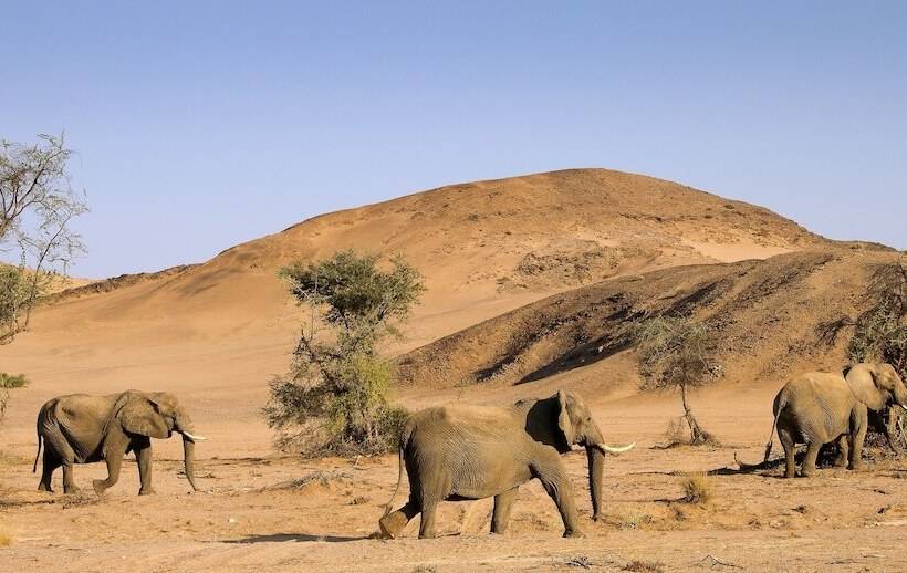 Hotel Twyfelfontein Country Lodge