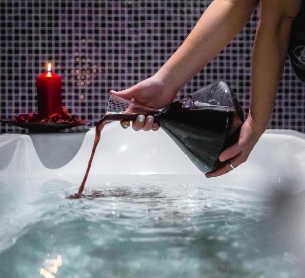 هتل Veracruz Plaza & Spa