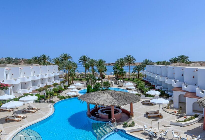 Iberotel Palace   Adults Friendly 16 Years Plus