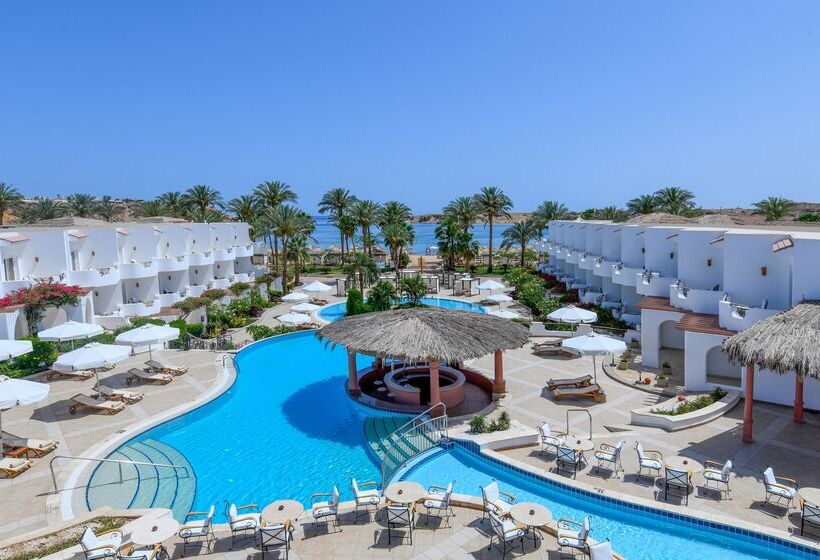 Iberotel Palace   Adults Friendly 16 Years Plus