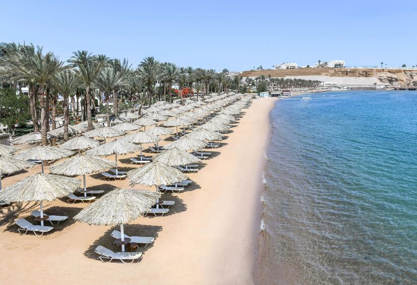 Iberotel Palace   Adults Friendly 16 Years Plus