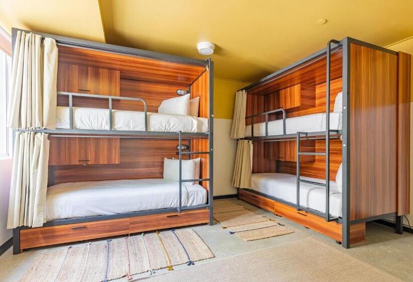 هاستل Selina Brisbane