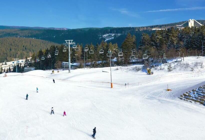 هتل Ahorn Panorama  Oberhof