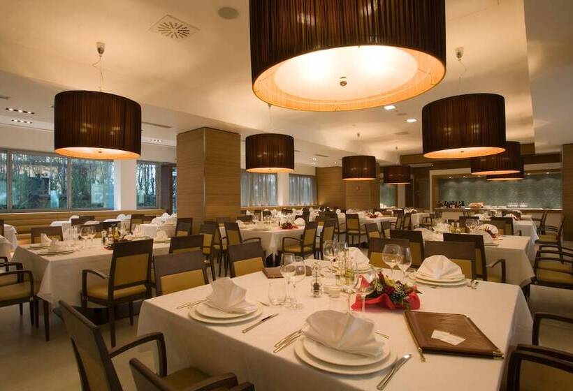 Antony Palace Hotel   Venice Airport