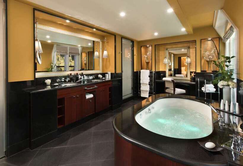 Fotos del hotel Hôtel Barrière Le Fouquet's:  25