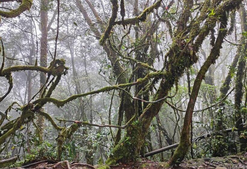 Fotos del hotel Cameron Highlands Resort:  40