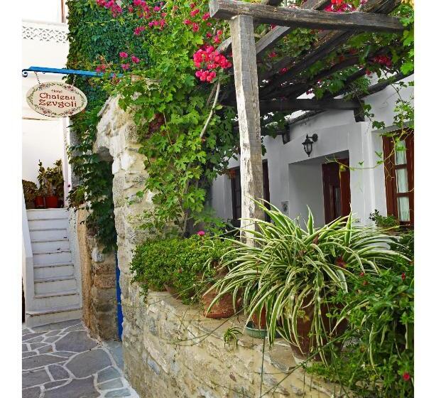 Fotos del hotel Chateau Zevgoli:  32