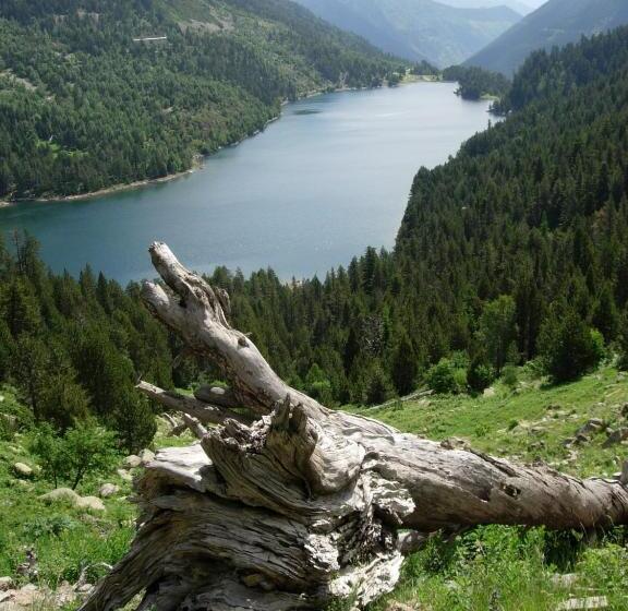هتل La Morera