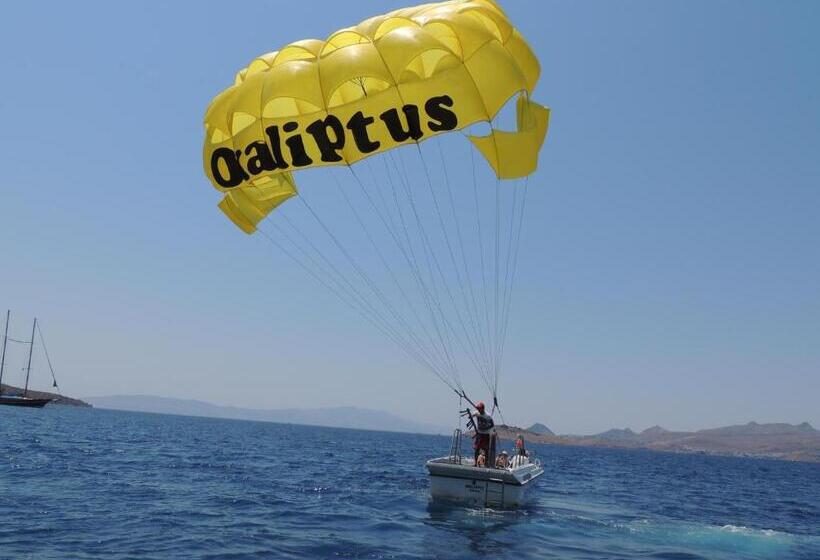 هتل Okaliptus
