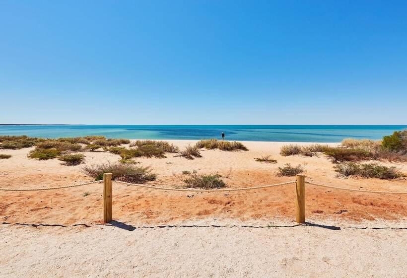 Hotel Rac Monkey Mia Dolphin Resort