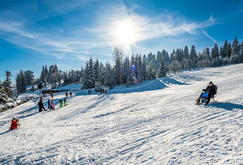 هتل Ahorn Wald Altenberg