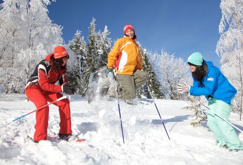 فندق Ahorn Wald Altenberg