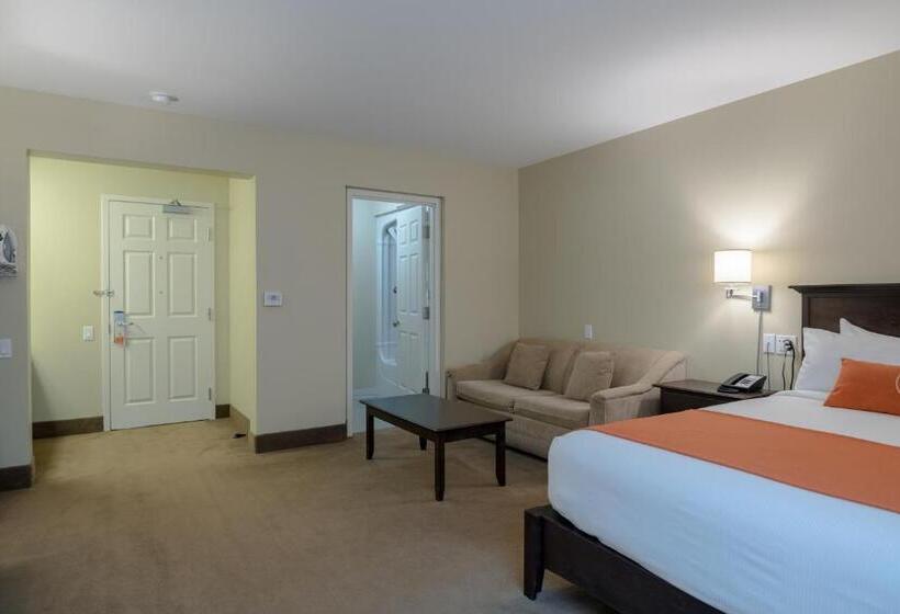 هتل Amsterdam Inn & Suites Sussex