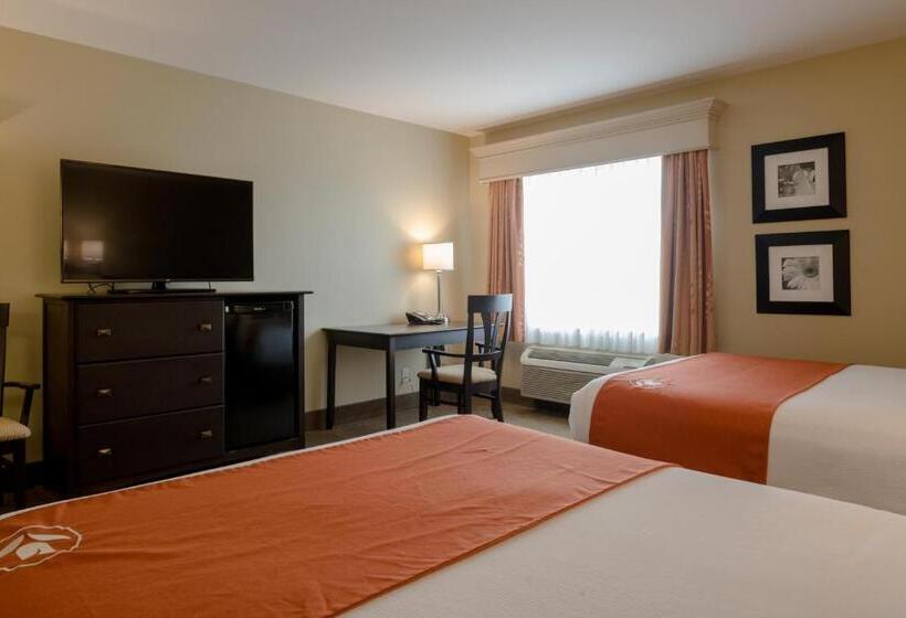 فندق Amsterdam Inn & Suites Sussex