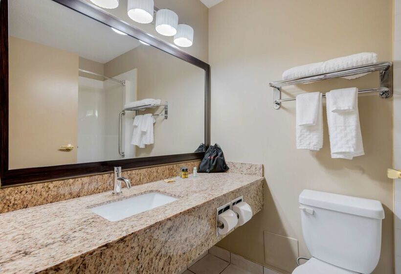 هتل Best Western Plus Red Deer Inn & Suite