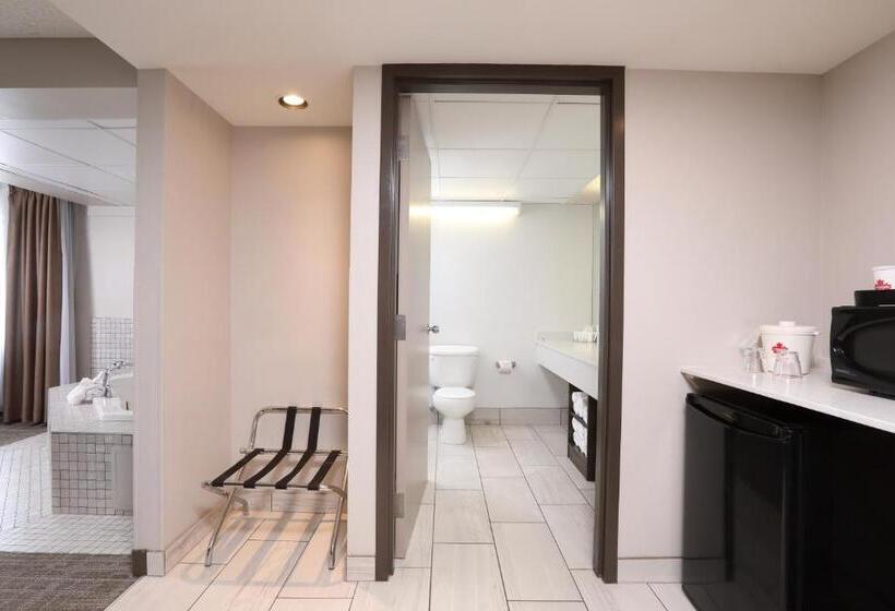 Отель Canad Inns Destination Centre Brandon