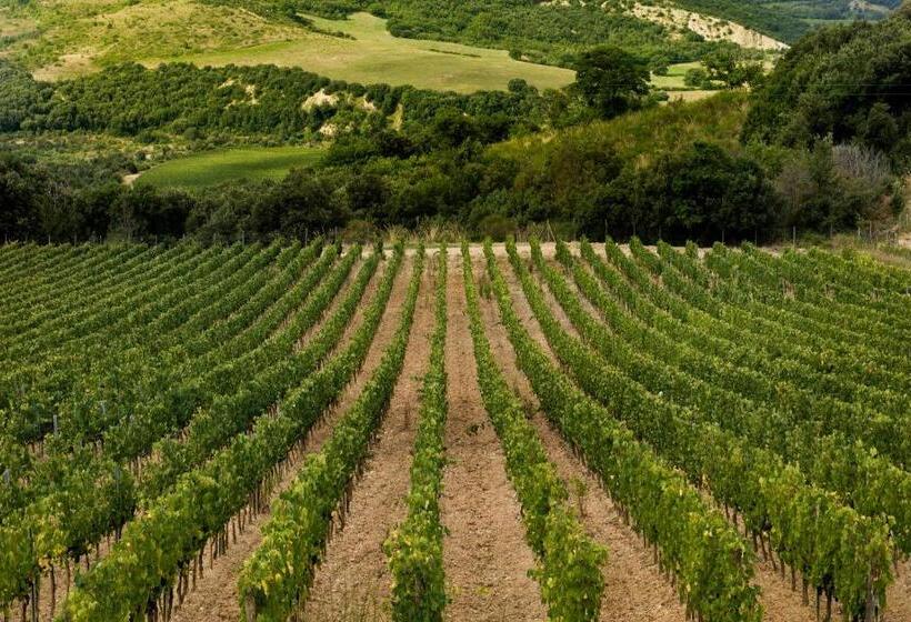 هتل Castello Di Velona Resort, Thermal Spa & Winery