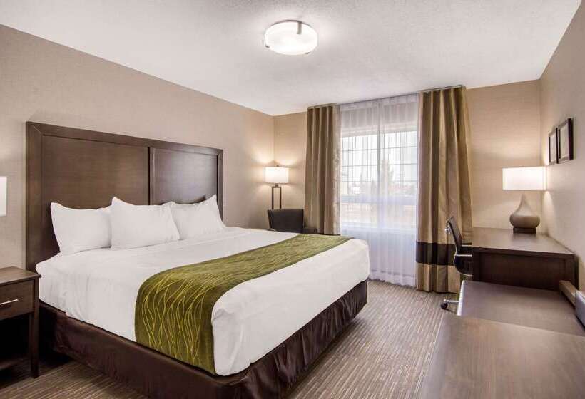 هتل Comfort Inn & Suites