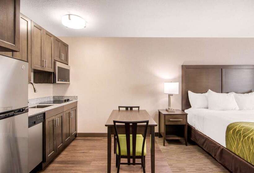 هتل Comfort Inn & Suites