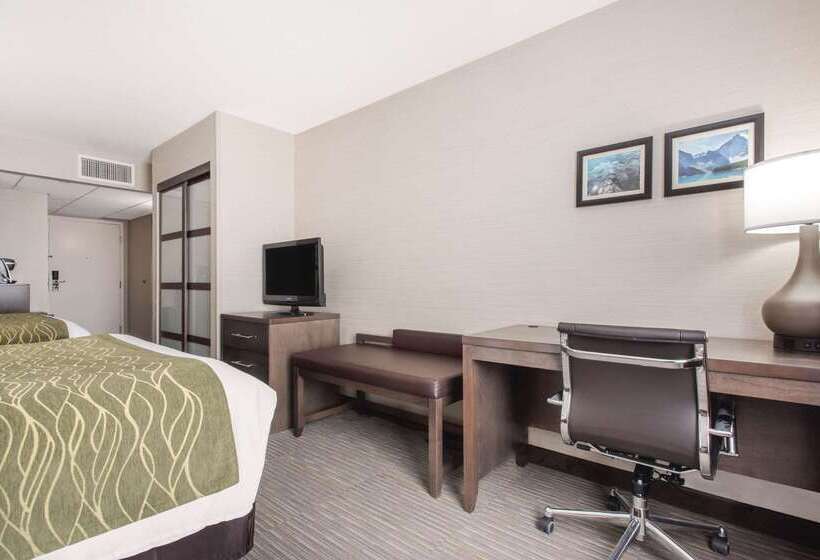 هتل Comfort Inn & Suites