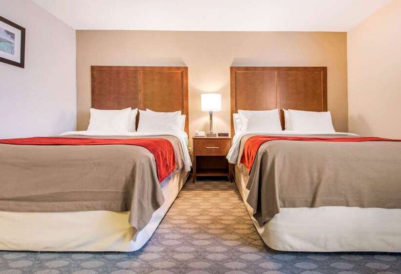 هتل Comfort Inn Fallsview