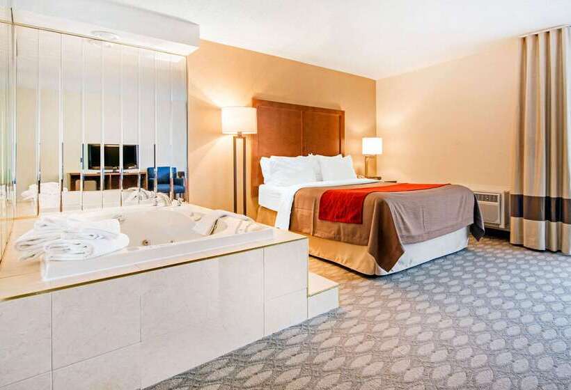 هتل Comfort Inn Fallsview