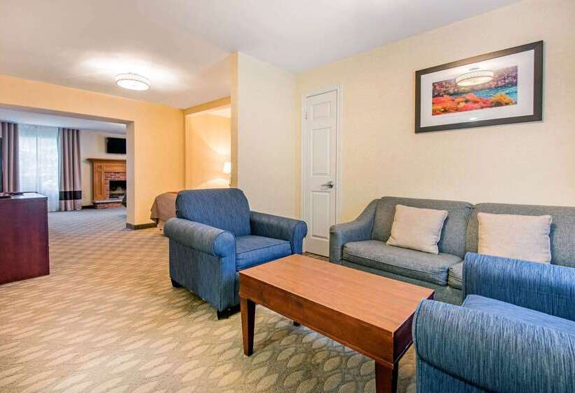 هتل Comfort Inn Fallsview