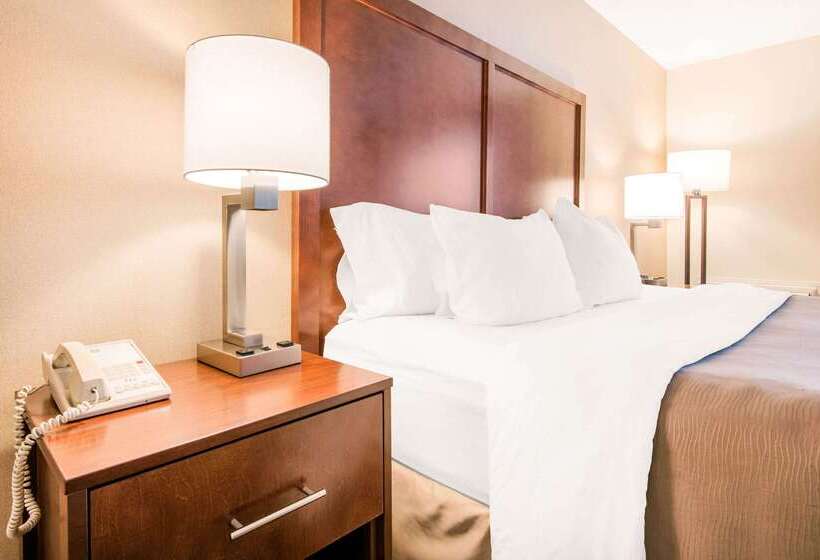 هتل Comfort Inn Fallsview