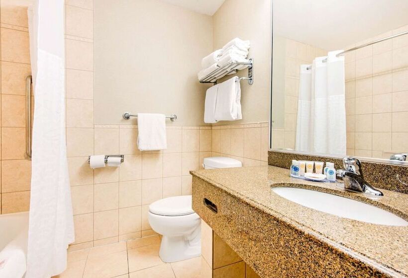 هتل Comfort Inn Fallsview