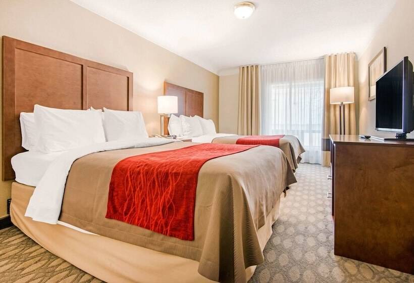 Hotel Comfort Inn Fallsview