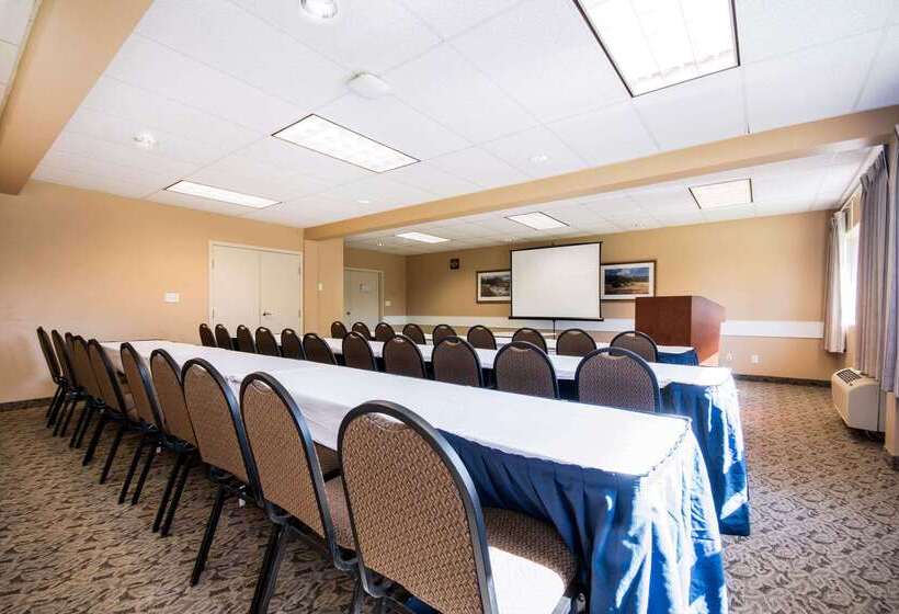 酒店 Comfort Inn & Suites