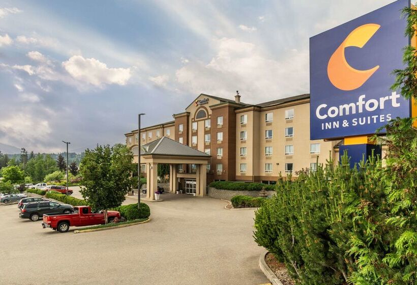 Hotel Comfort Inn & Suites