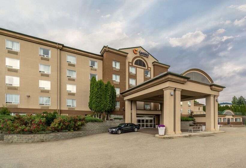 Hotel Comfort Inn & Suites