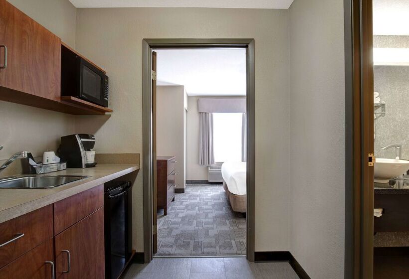 هتل Days Inn By Wyndham Medicine Hat