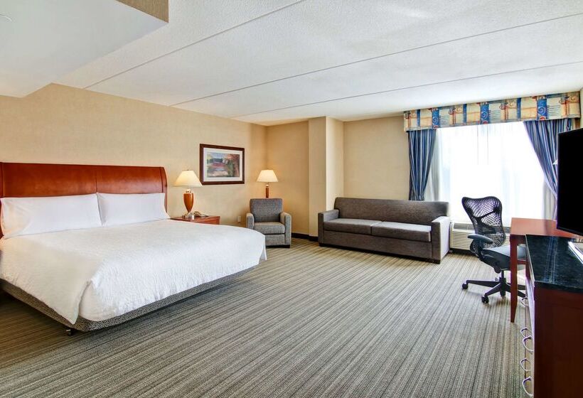 هتل Hilton Garden Inn Toronto/burlington