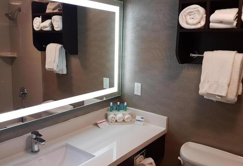 Holiday Inn Express Hotel & Suites Barrie, An Ihg