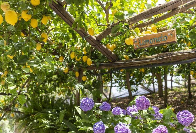 هتل La Pergola