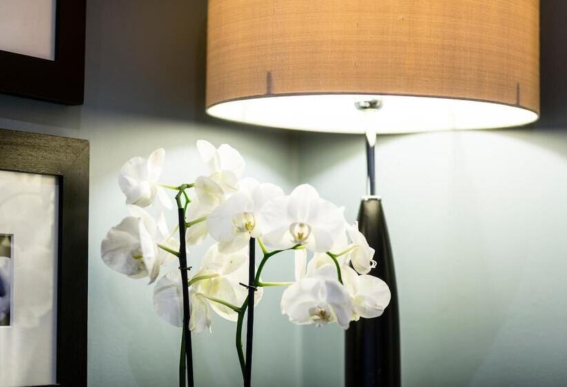 Fotos del hotel Montagu Place:  28