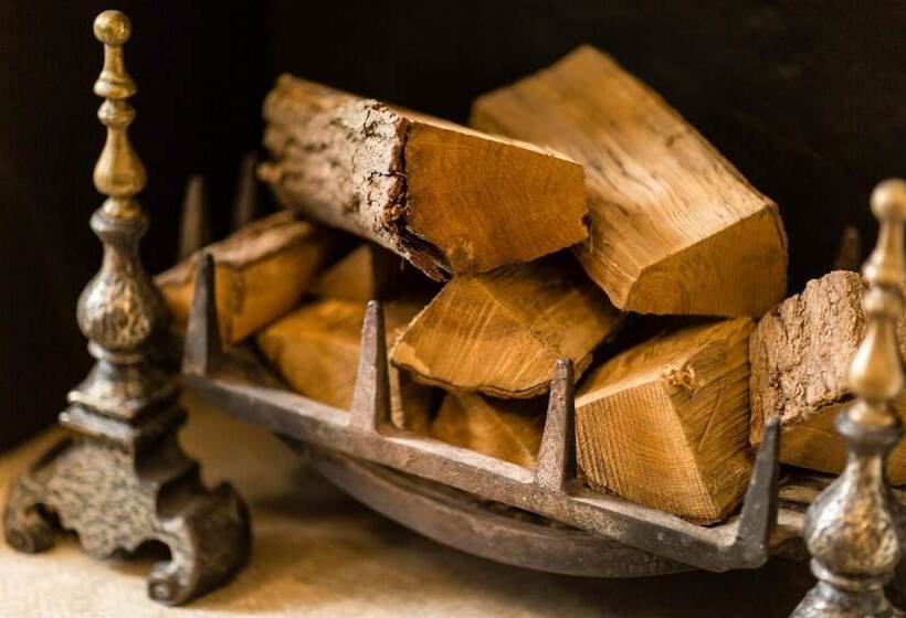 Fotos del hotel Montagu Place:  14